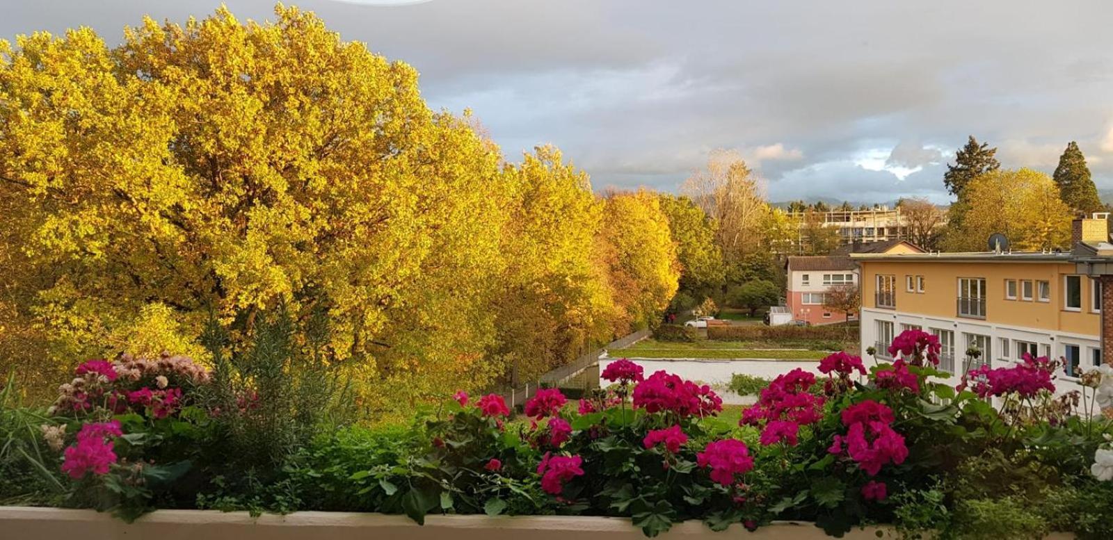 Mariaprimavera Apartment Am Kurpark Mit Schwarzwaldblick * * * * Bad Krozingen Luaran gambar