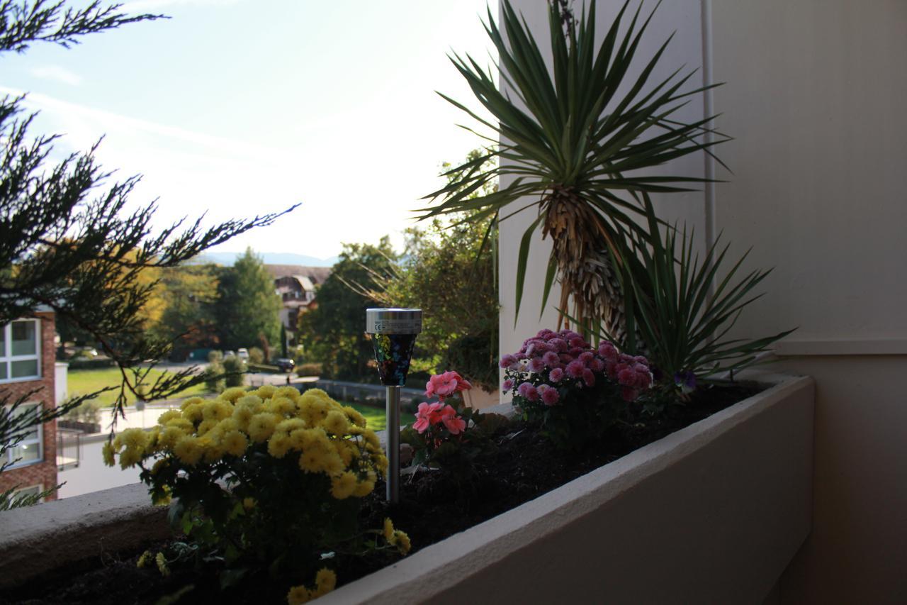 Mariaprimavera Apartment Am Kurpark Mit Schwarzwaldblick * * * * Bad Krozingen Luaran gambar