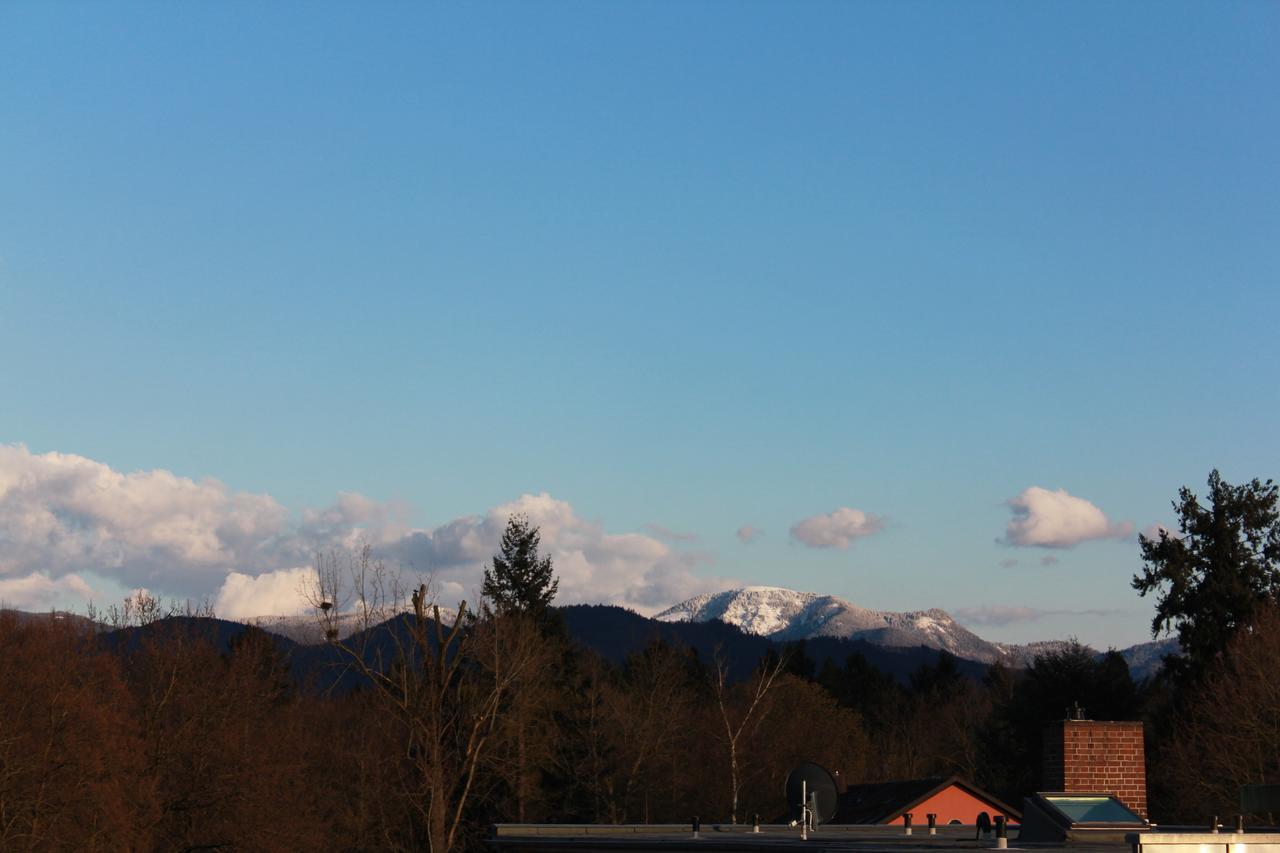 Mariaprimavera Apartment Am Kurpark Mit Schwarzwaldblick * * * * Bad Krozingen Luaran gambar